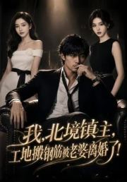 我，北境镇主，工地搬钢筋被老婆离婚了！