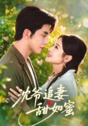 沈爷追妻甜如蜜