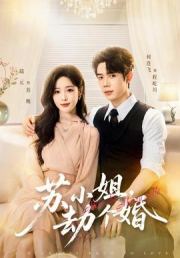苏小姐，劫个婚